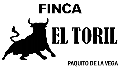 Inicio